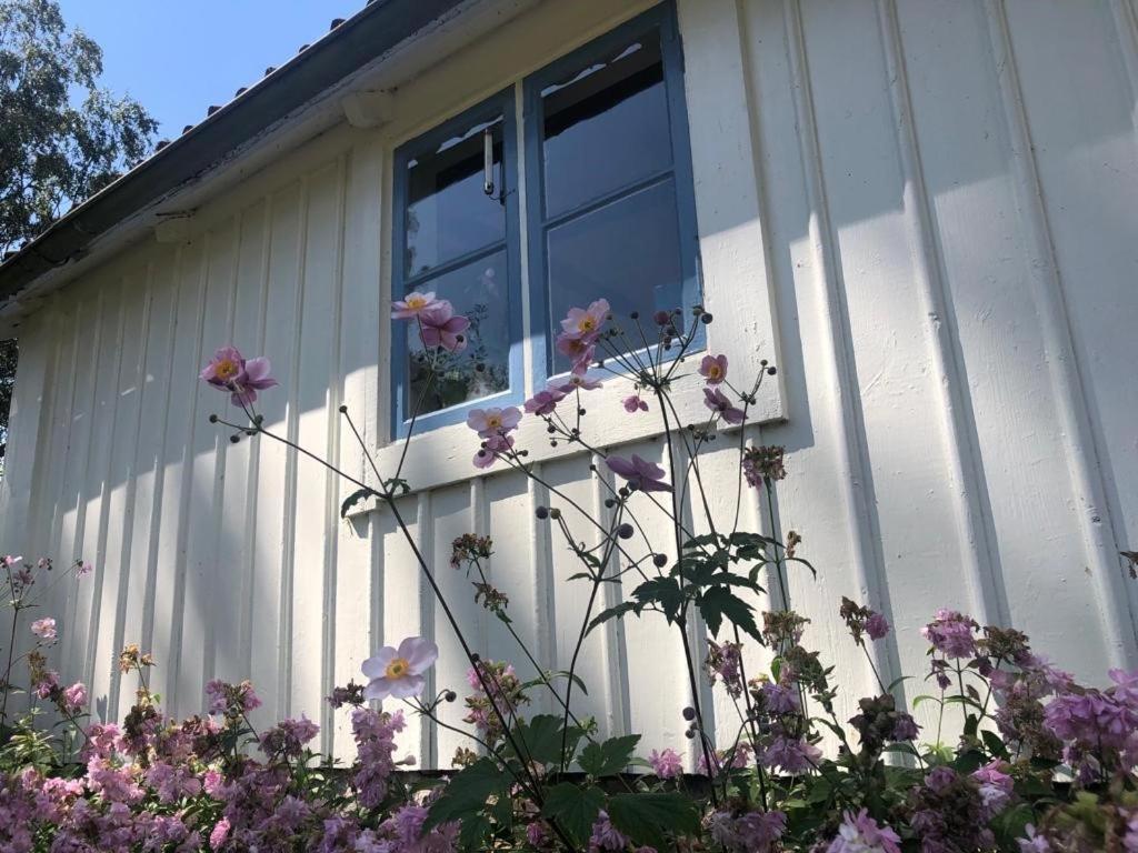 Seaside Cottage Haga Park Frobygarda 외부 사진